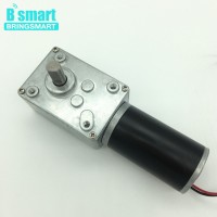 Bringsmart DC 24V Rectangle Shape Gear Box Reduction Worm Geared Motor